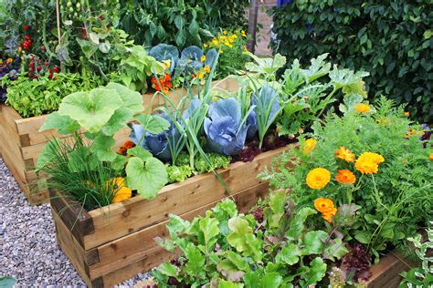 Sustainable gardens